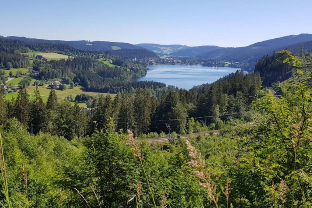 Black Forest Schwarzwaldblick Indoorpool Natur Ruhe Komfort Apartamento Höchenschwand Exterior foto