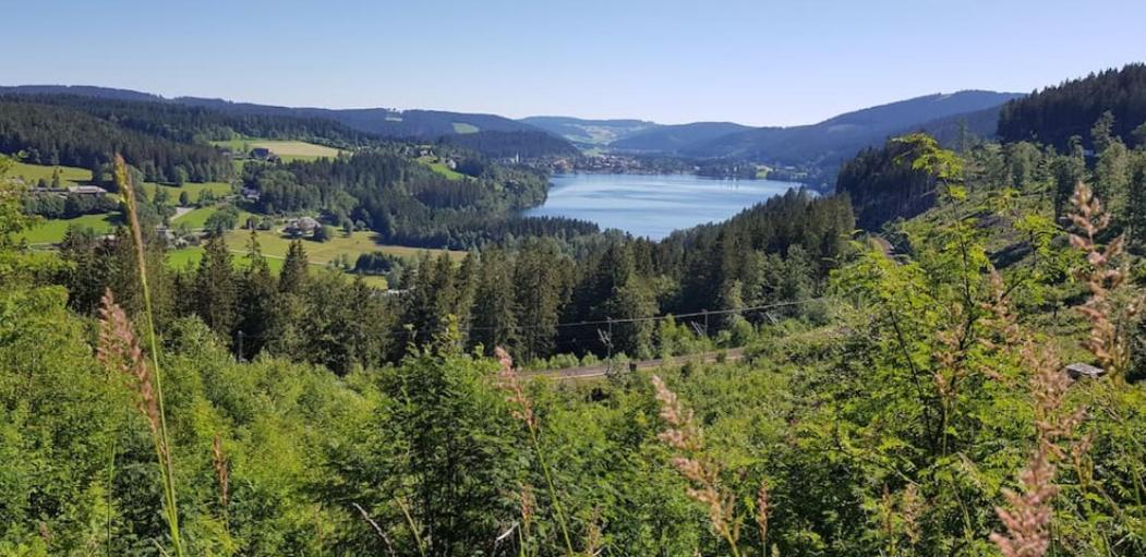 Black Forest Schwarzwaldblick Indoorpool Natur Ruhe Komfort Apartamento Höchenschwand Exterior foto